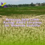 Kemarau 2026 Lebih Kering: BMKG Luruskan Isu ‘Kemarau Godzilla’