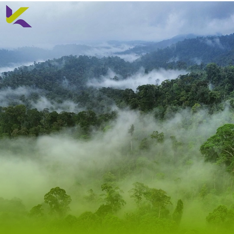 Panduan Lengkap Ekspedisi Gunung Bukit Raya 2026: Rute, Transportasi, dan Simulasi Anggaran Terbaru