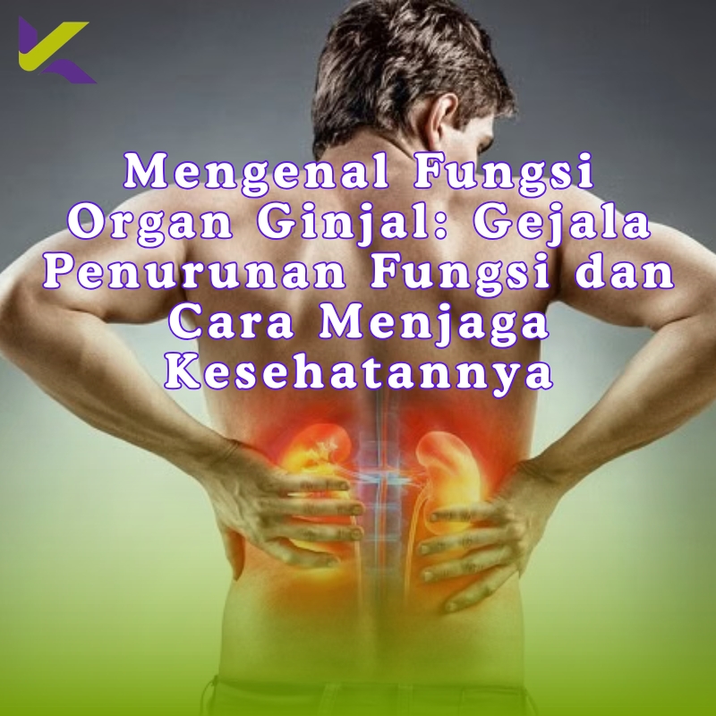 Mengenal Fungsi Organ Ginjal: Gejala Penurunan Fungsi dan Cara Menjaga Kesehatannya