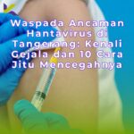 Waspada Ancaman Hantavirus