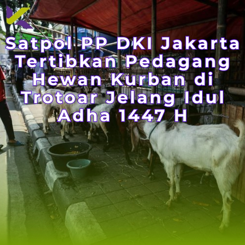 Satpol PP DKI Jakarta Tertibkan Pedagang Hewan Kurban di Trotoar Jelang Idul Adha 1447 H