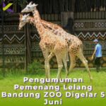 Pengumuman Pemenang Lelang Bandung ZOO Digelar 5 Juni