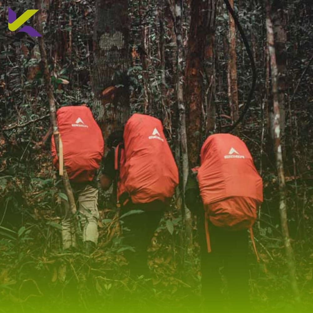 Panduan Lengkap Ekspedisi Gunung Beriun 2026: Rute Rimba Kalimantan, Penginapan, dan Estimasi Budget