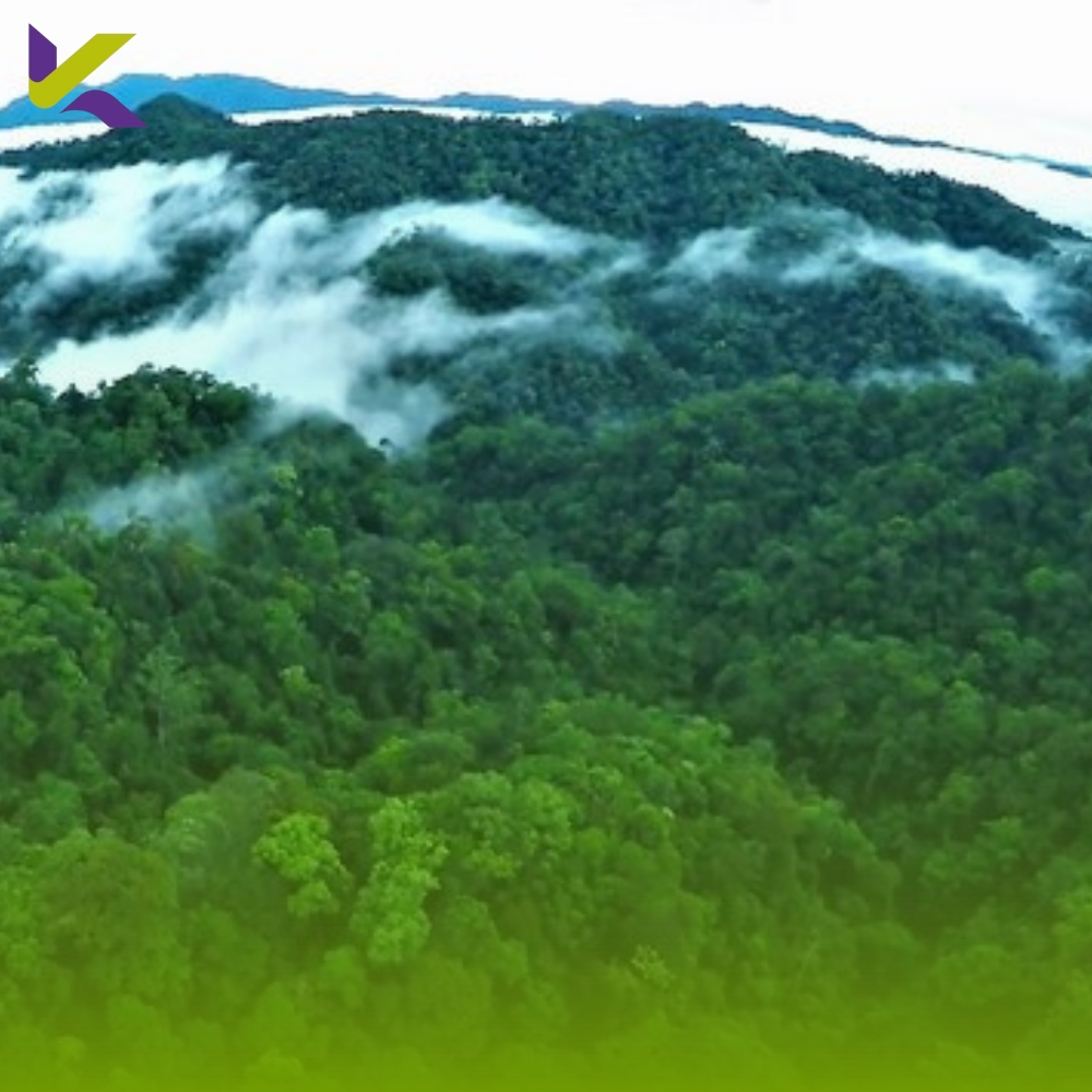 Panduan Eksplorasi Gunung Harun 2026: Jalur Udara, Transportasi Umum, dan Estimasi Budget Terkini