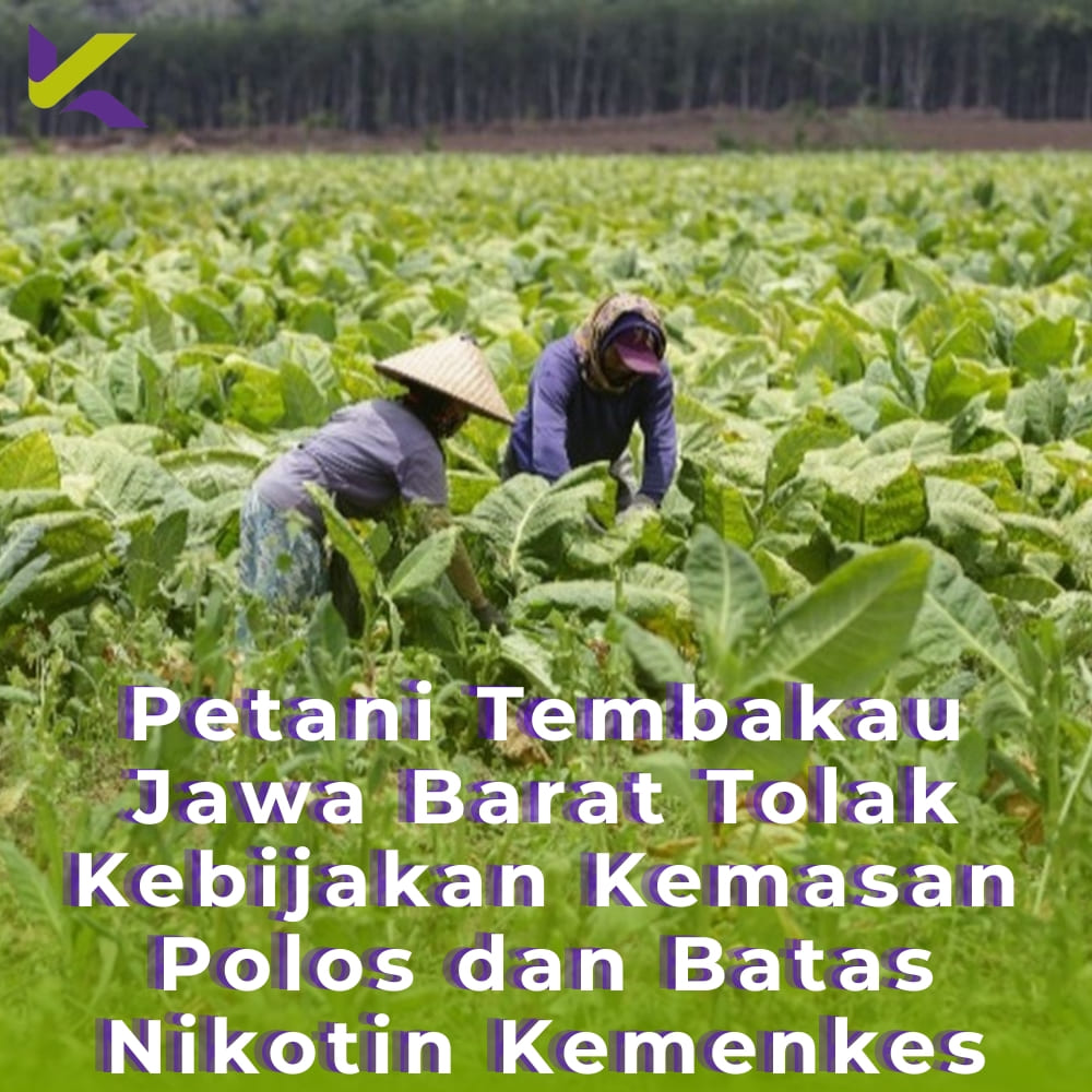 Petani Tembakau Jawa Barat Tolak Kebijakan Kemasan Polos dan Batas Nikotin Kemenkes