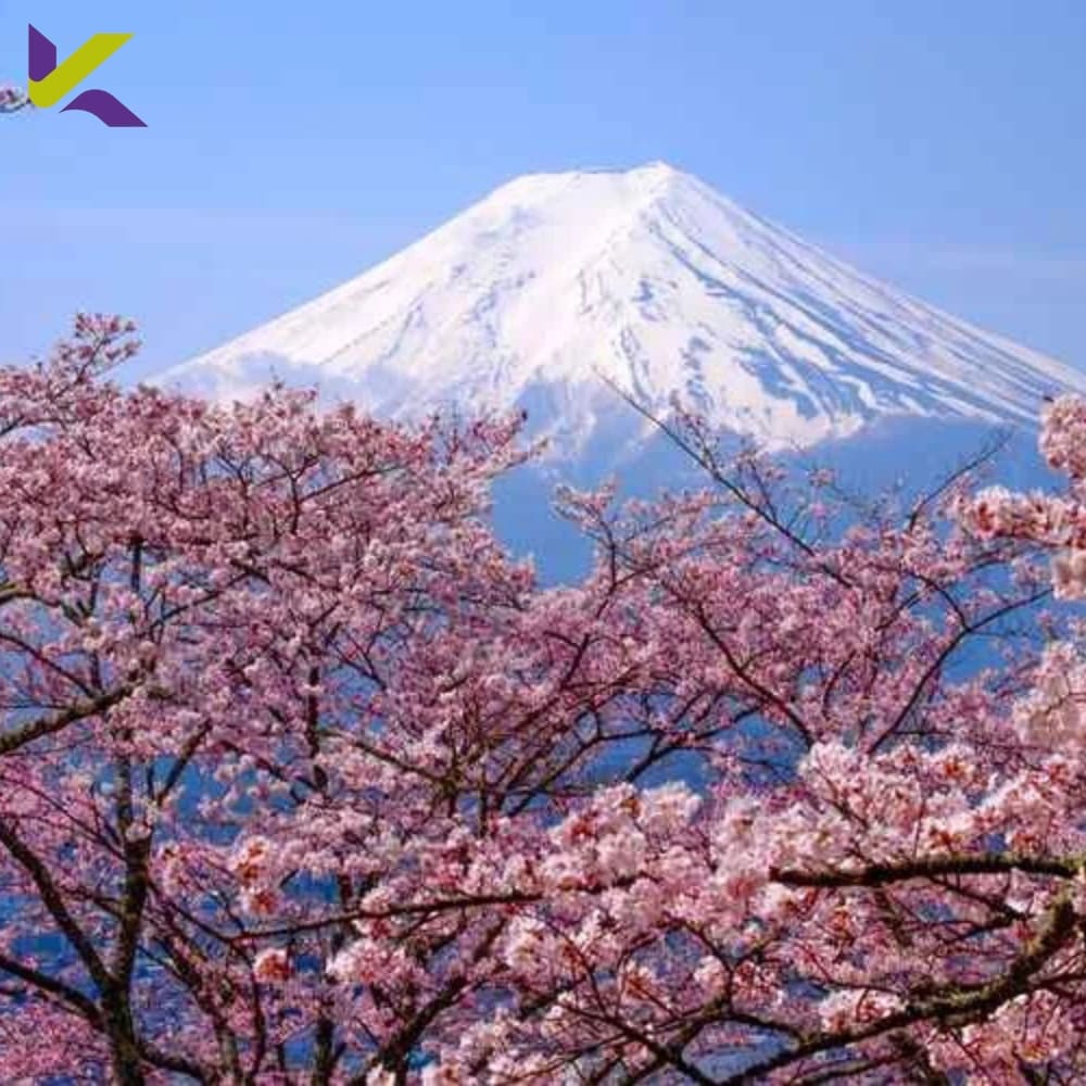 Destinasi Jepang Terbaik 2026: Panduan Lengkap ke Kyoto untuk Pertama Kali