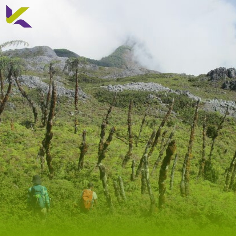 Panduan Lengkap Ekspedisi Gunung Binaiya 2026: Rute Laut, Jalur Darat, dan Estimasi Biaya