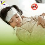 Waspada Penyakit DBD: Kenali Gejala, Dampak, dan Solusi Pencegahan Efektif