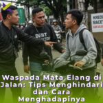 Waspada Mata Elang di Jalan: Tips Menghindari dan Cara Menghadapinya