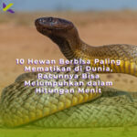 10 Hewan Berbisa Paling Mematikan di Dunia, Racunnya Bisa Melumpuhkan dalam Hitungan Menit