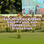 Gaji Manajer Kopdes Merah Putih dan Jobdesknya, Ini Rinciannya