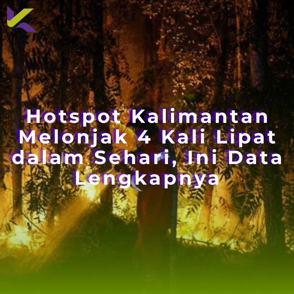 Hotspot Kalimantan Melonjak 4 Kali Lipat dalam Sehari, Ini Data Lengkapnya
