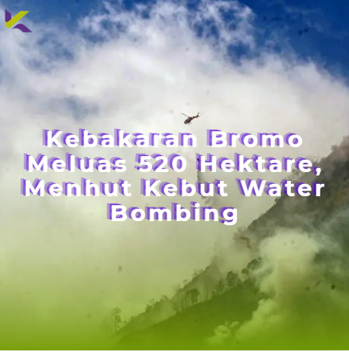 Kebakaran Bromo Meluas 520 Hektare, Menhut Kebut Water Bombing