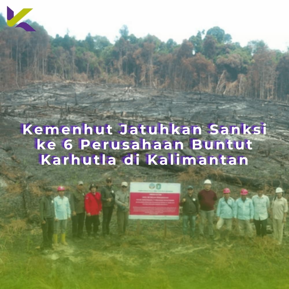Kemenhut Jatuhkan Sanksi ke 6 Perusahaan Buntut Karhutla di Kalimantan