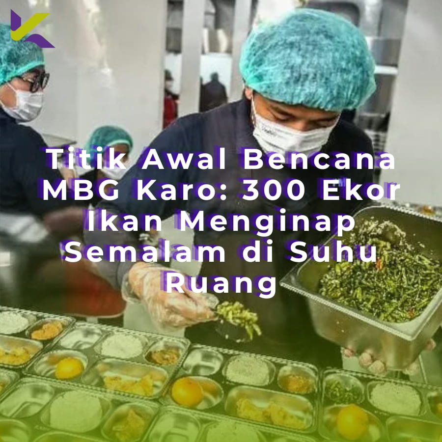 Titik Awal Bencana MBG Karo: 300 Ekor Ikan Menginap Semalam di Suhu Ruang