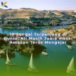 10 Sungai Terpanjang di Dunia, Nil Masih Juara meski Amazon Terus Mengejar