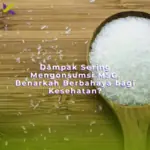 Dampak Sering Mengonsumsi MSG, Benarkah Berbahaya bagi Kesehatan?