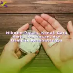 Nikotin Pouch, Kenali Cara Kerja, Kegunaan, dan Dampak Kesehatannya
