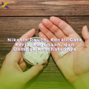 Nikotin Pouch, Kenali Cara Kerja, Kegunaan, dan Dampak Kesehatannya