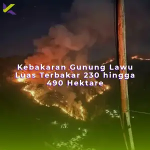 Kebakaran Gunung Lawu Luas Terbakar 230 hingga 490 Hektare