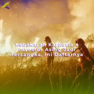 Kebakaran Karhutla 4 Investor Asing Jadi Tersangka, Ini Daftarnya