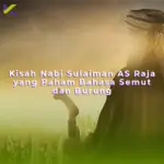 Kisah Nabi Sulaiman AS Raja yang Paham Bahasa Semut dan Burung