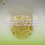 Air Kencing Berbusa Penyebab, Tanda Bahaya, dan Kapan ke Dokter
